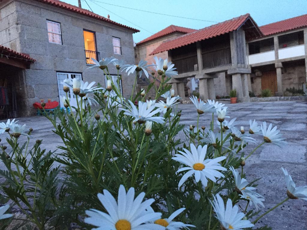 Casa Da Ventozella ξενώνας Penafiel Εξωτερικό φωτογραφία